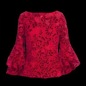 Boston Proper Red Velvet Top